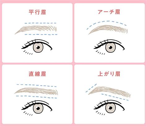 眉長|眉毛の形と種類：自分に似合う眉毛を見つける方法